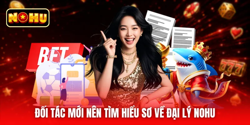 Đối tác mới nên tìm hiểu sơ về đại lý nohu